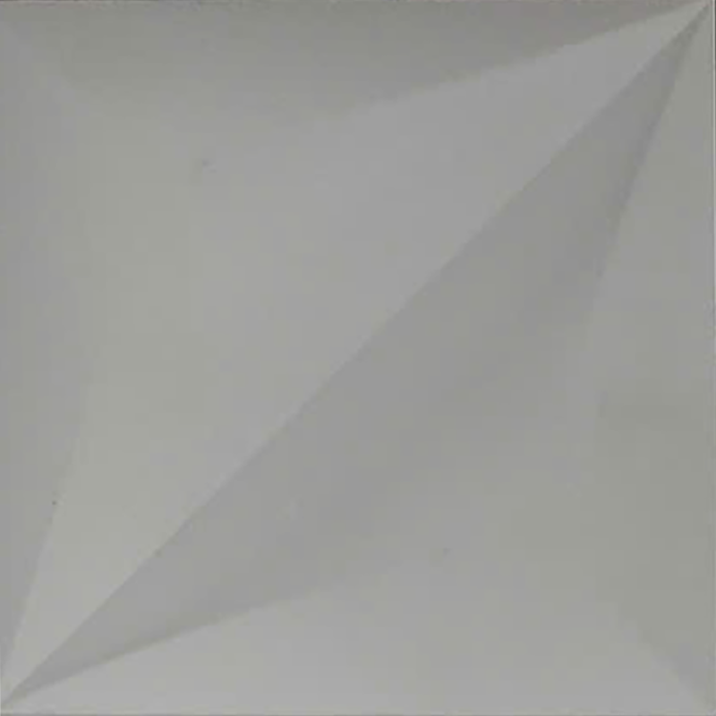 Gạch bông CTS GBNVH 3D-01